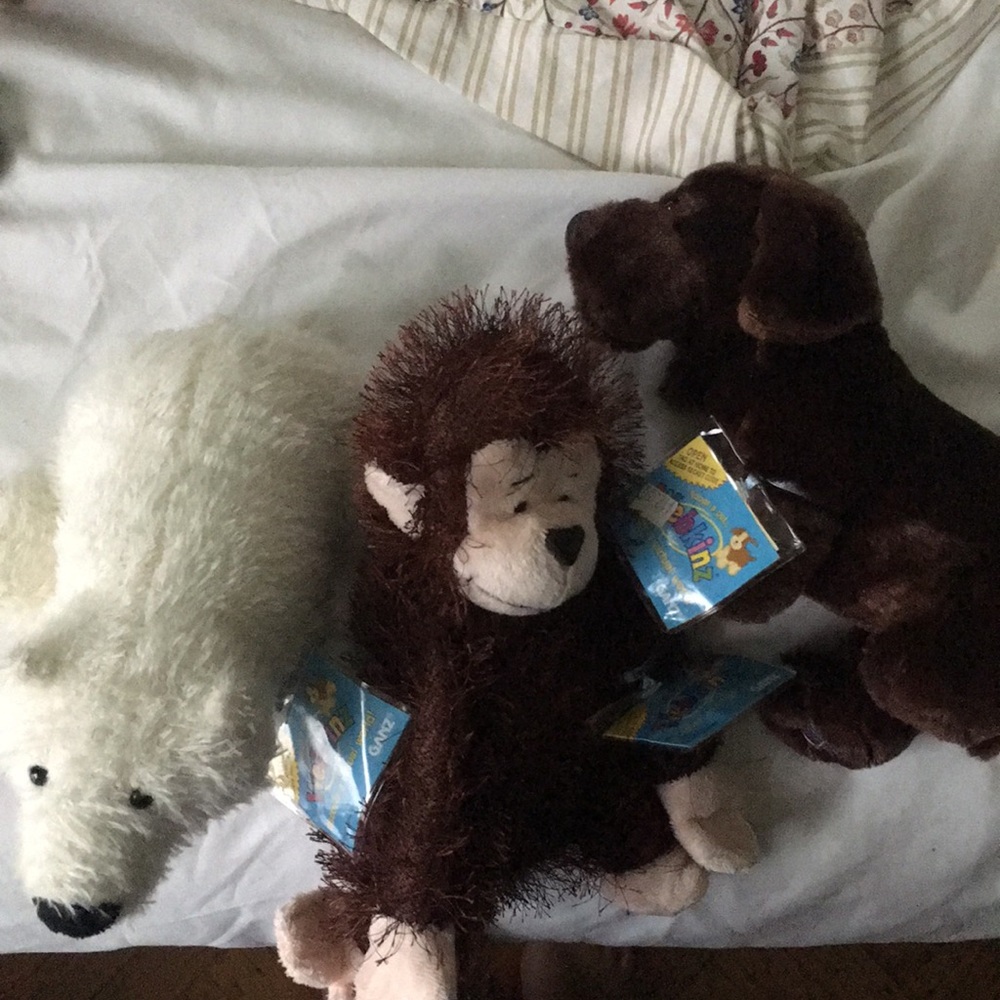 RESERVED 10 webkinz bundle (she_0313)